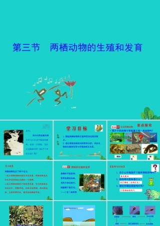 八年级生物下册 7.1.3 两栖动物的生殖和发育课件 八年级生物下册 7.1.3 两栖动物的生殖和发育课件+素材(新版)新人教版 八年级生物下册 7.1.3 两栖动物的生殖和发育课件+素材(新版)新人教版