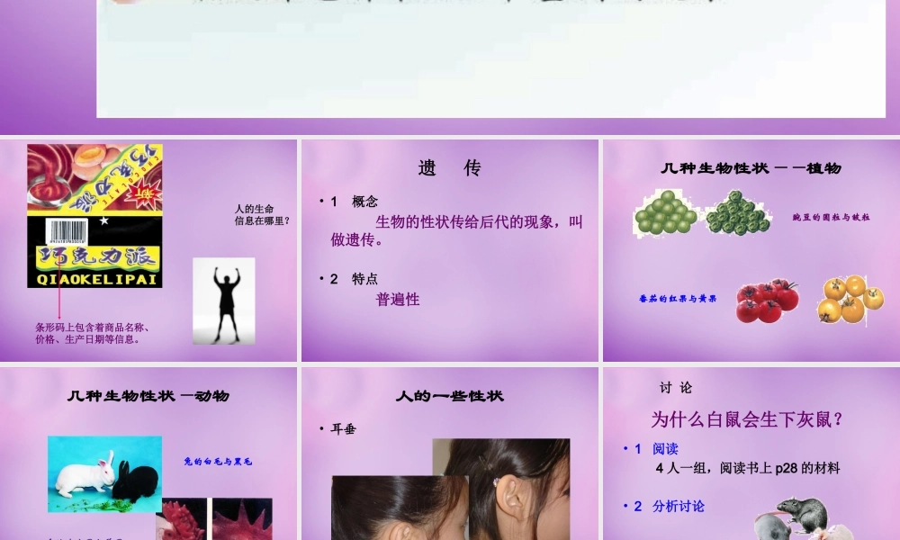 八年级生物下册 22.1 DNA是主要的遗传物质课件 (新版)苏教版 课件