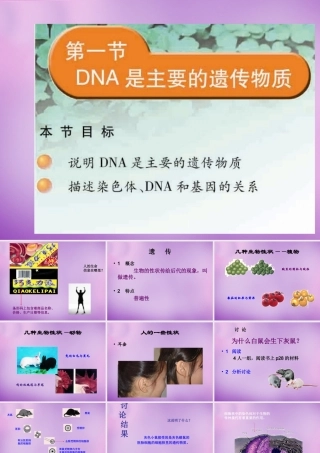 八年级生物下册 22.1 DNA是主要的遗传物质课件 (新版)苏教版 课件