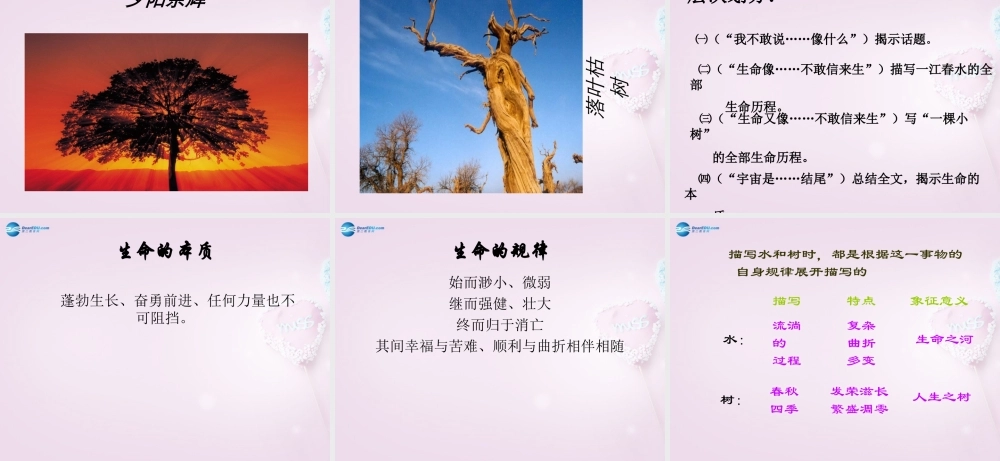 九年级语文下册 9(谈生命)课件3 新人教版 课件