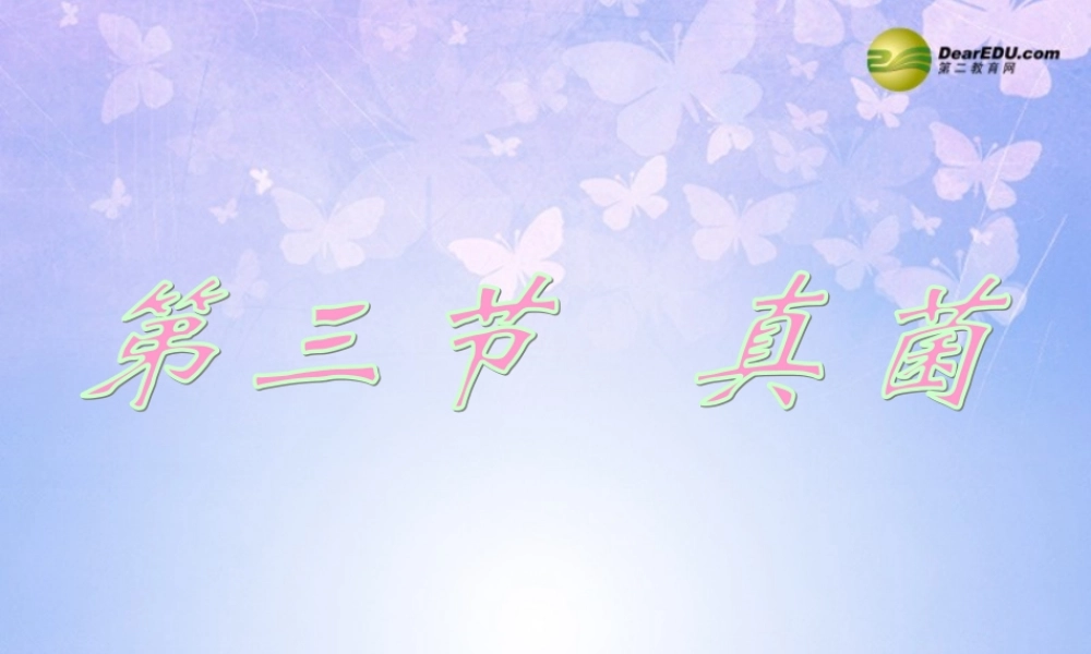 八年级生物上册 第五单元 4.3 真菌课件 新人教版 课件