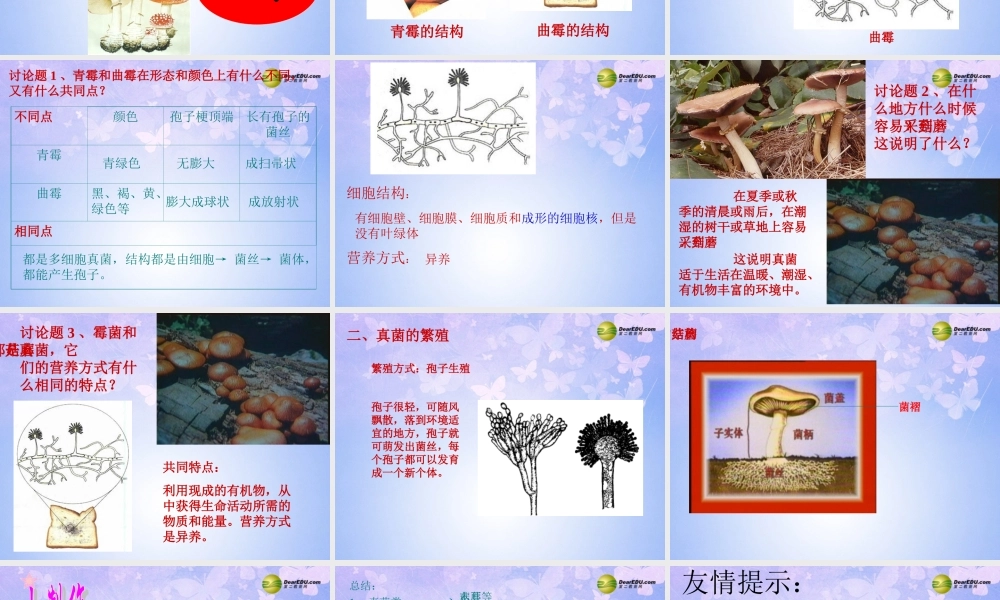 八年级生物上册 第五单元 4.3 真菌课件 新人教版 课件