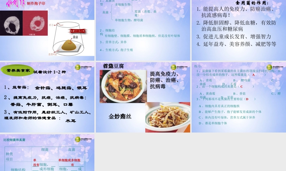 八年级生物上册 第五单元 4.3 真菌课件 新人教版 课件