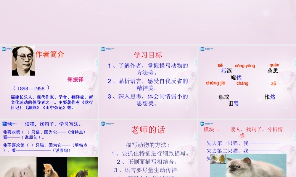山东省泰安新泰市七年级语文下册 26 猫课件 新人教版 课件