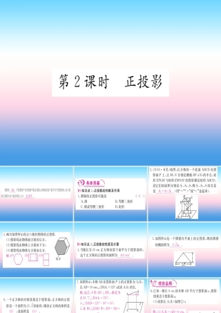 九年级数学下册 第29章 投影与视图 291 投影 第2课时 正投影课堂导练课件(含中考真题)(新版)新人教版 课件