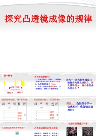 八年级物理上册 3.3探究凸透镜成像的规律课件 人教新课标版 课件