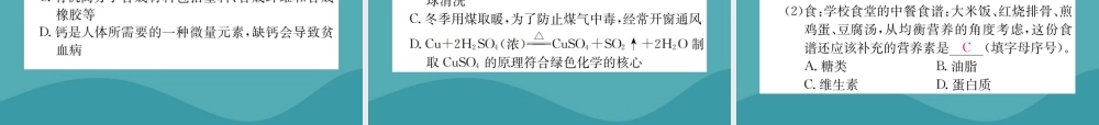 中考化学复习 第十一单元 化学与社会发展课件 鲁教版 课件