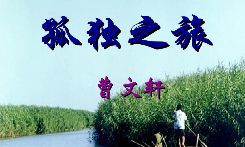 九年级语文上册 10 孤独之旅 新人教版 试题