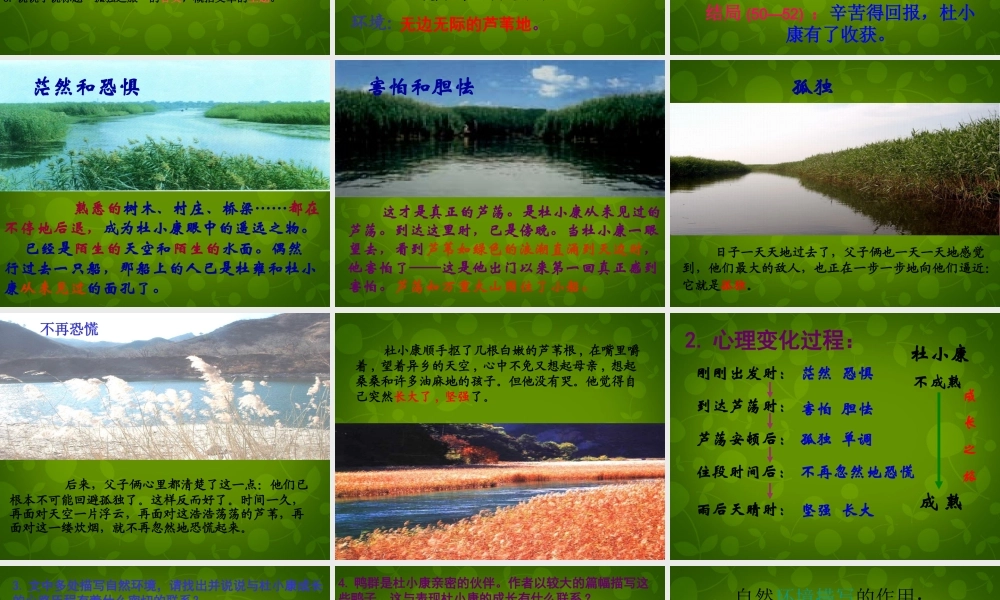 九年级语文上册 10 孤独之旅 新人教版 试题