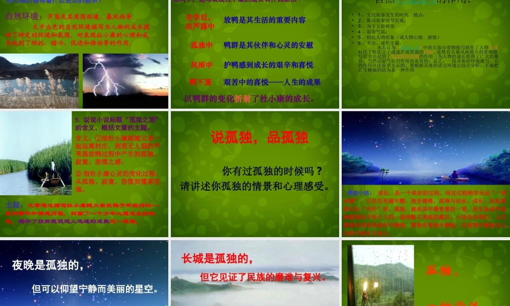 九年级语文上册 10 孤独之旅 新人教版 试题