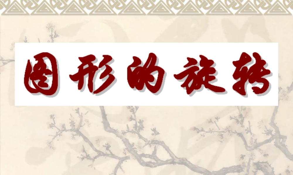 九年级数学中考复习专题 图形的旋转 PPT课件