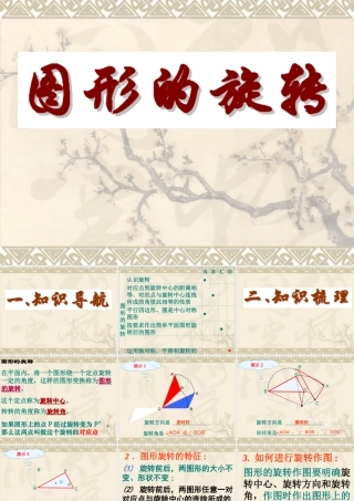 九年级数学中考复习专题 图形的旋转 PPT课件