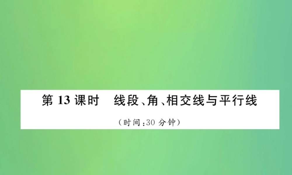 中考数学复习 第4章 图形的性质 第13课时 线段、角、相交线与平行线(精练)课件