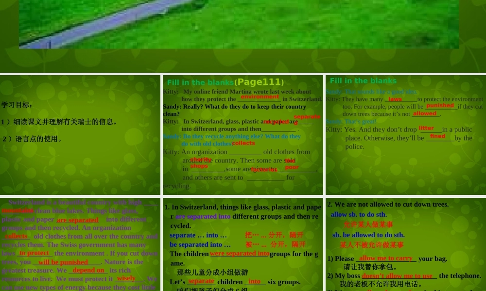 中学八年级英语下册 Unit 8 A green World Reading 2课件 (新版)牛津版 课件
