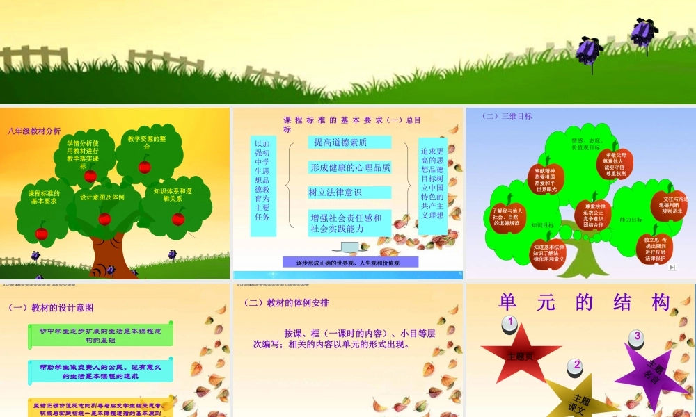 八年级政治下册 说教材课件  人教新课标版 课件