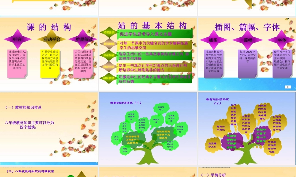 八年级政治下册 说教材课件  人教新课标版 课件