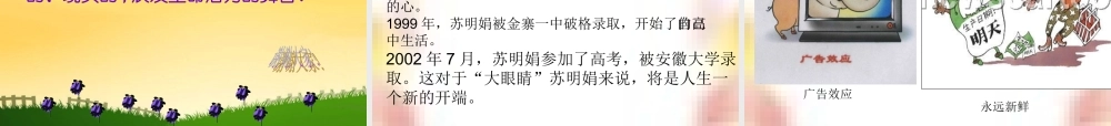 八年级政治下册 说教材课件  人教新课标版 课件