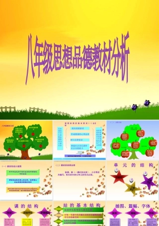 八年级政治下册 说教材课件  人教新课标版 课件