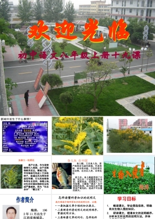 八年级语文 生物入侵者课件