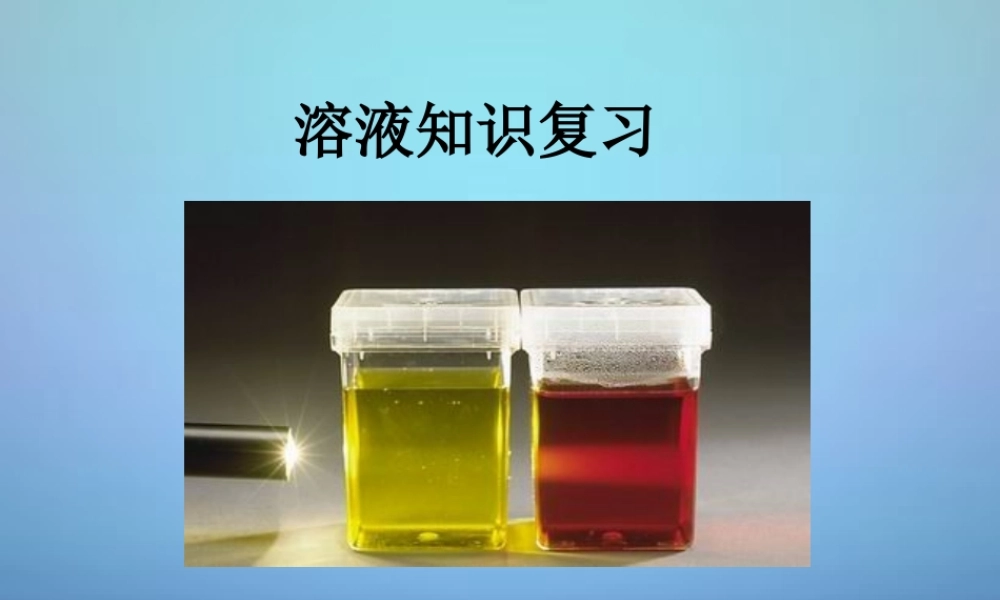 中考化学 溶液知识复习课件 沪教版 课件