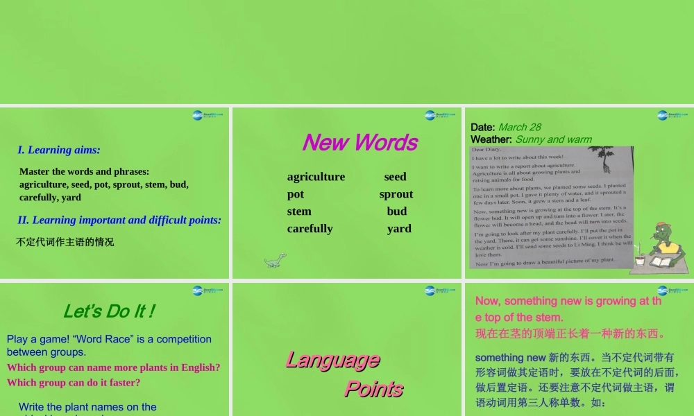 八年级英语下册 Unit 2 lesson 12 Danny's Plant课件 (新版)冀教版 课件