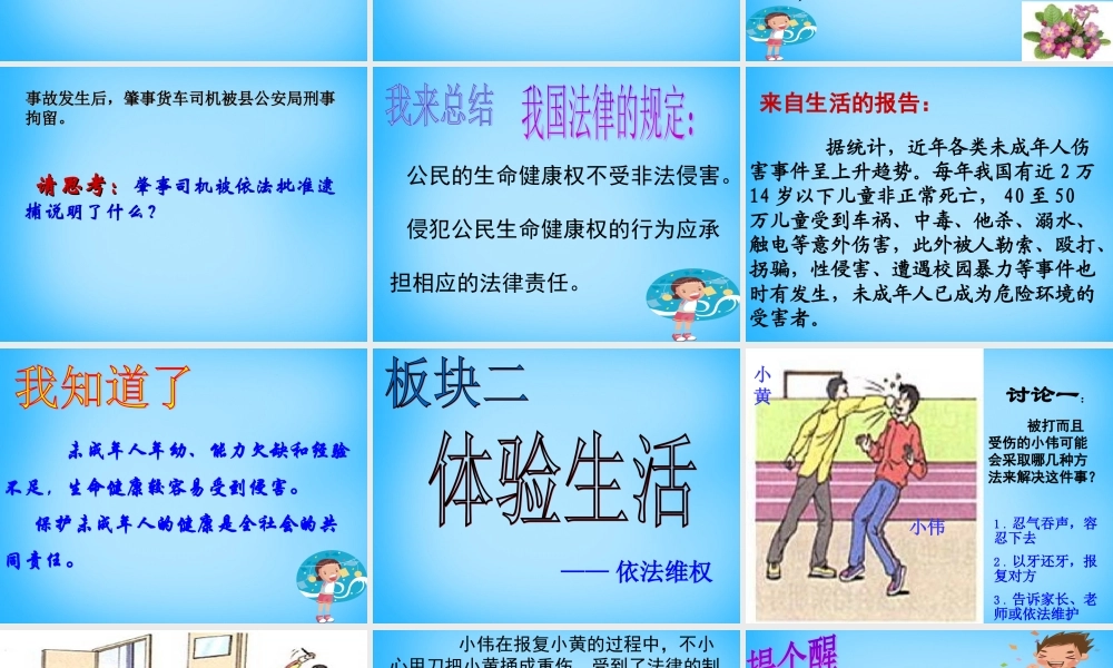 八年级政治上册(8.1 法律保护我们的生命健康权)课件 鲁教版 课件