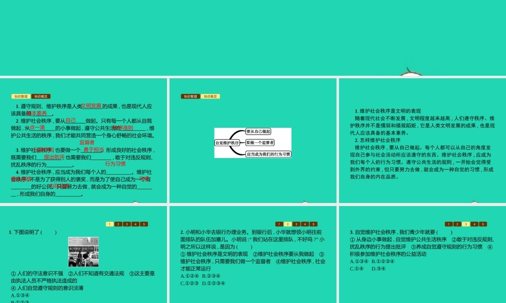 八年级道德与法治上册 第四单元 承担社会责任 第10课 维护公共秩序 第2站 自觉维护秩序课件 北师大版 课件