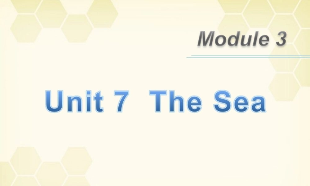 广东省高三英语第一轮总复习 Module3 Unit7 The Sea(2)课件 北师大版 新课标 课件