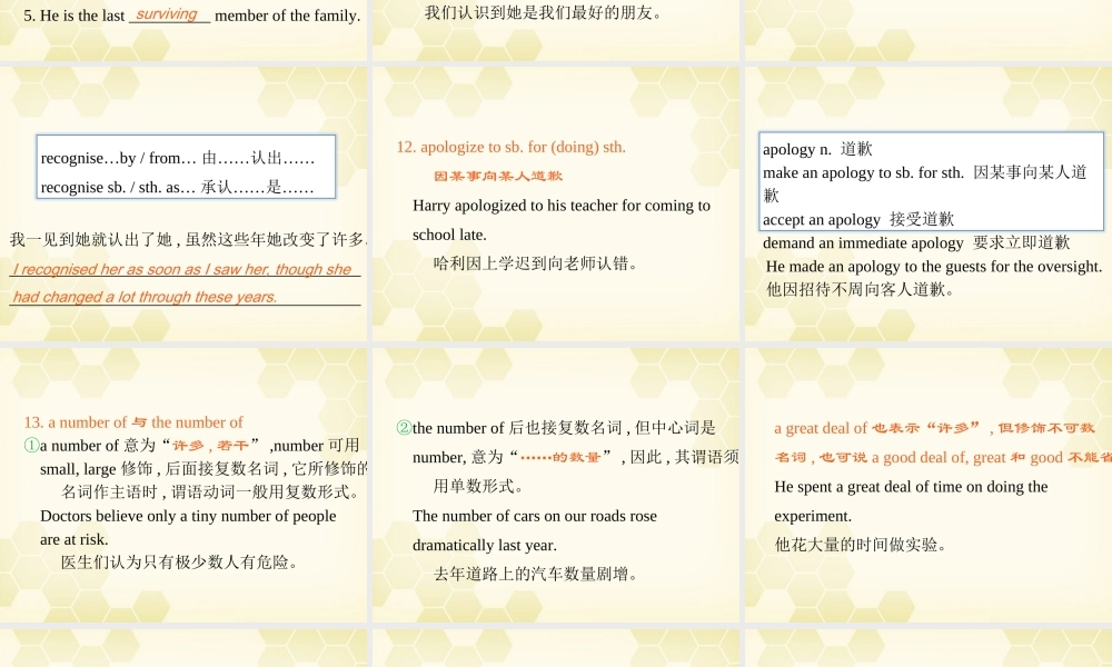 广东省高三英语第一轮总复习 Module3 Unit7 The Sea(2)课件 北师大版 新课标 课件