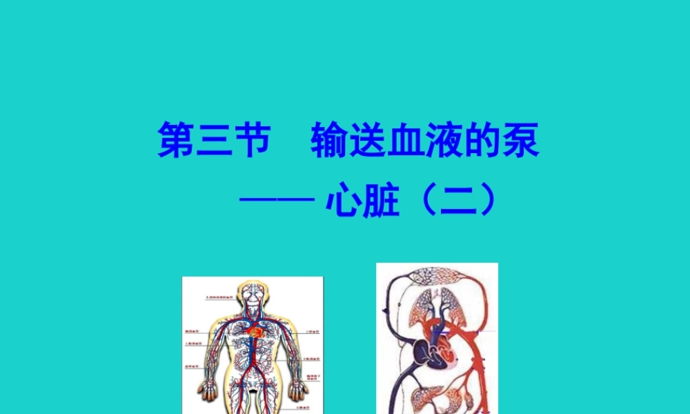 七年级生物下册 4.4.3 输送血液的泵 心脏课件 七年级生物下册 4.4.3 输送血液的泵 心脏课件+素材(新版)新人教版