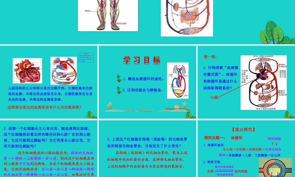七年级生物下册 4.4.3 输送血液的泵 心脏课件 七年级生物下册 4.4.3 输送血液的泵 心脏课件+素材(新版)新人教版