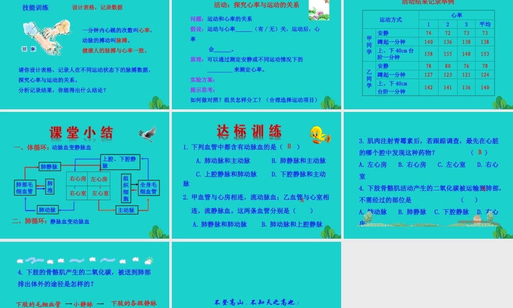 七年级生物下册 4.4.3 输送血液的泵 心脏课件 七年级生物下册 4.4.3 输送血液的泵 心脏课件+素材(新版)新人教版