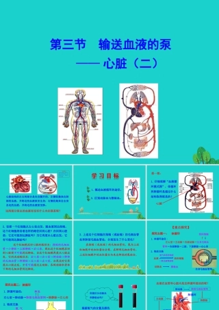七年级生物下册 4.4.3 输送血液的泵 心脏课件 七年级生物下册 4.4.3 输送血液的泵 心脏课件+素材(新版)新人教版