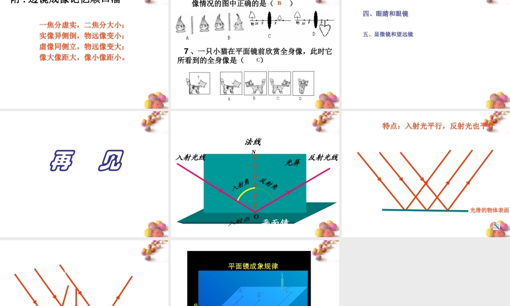 八年级物理 多彩的光复习课件 沪科版 课件