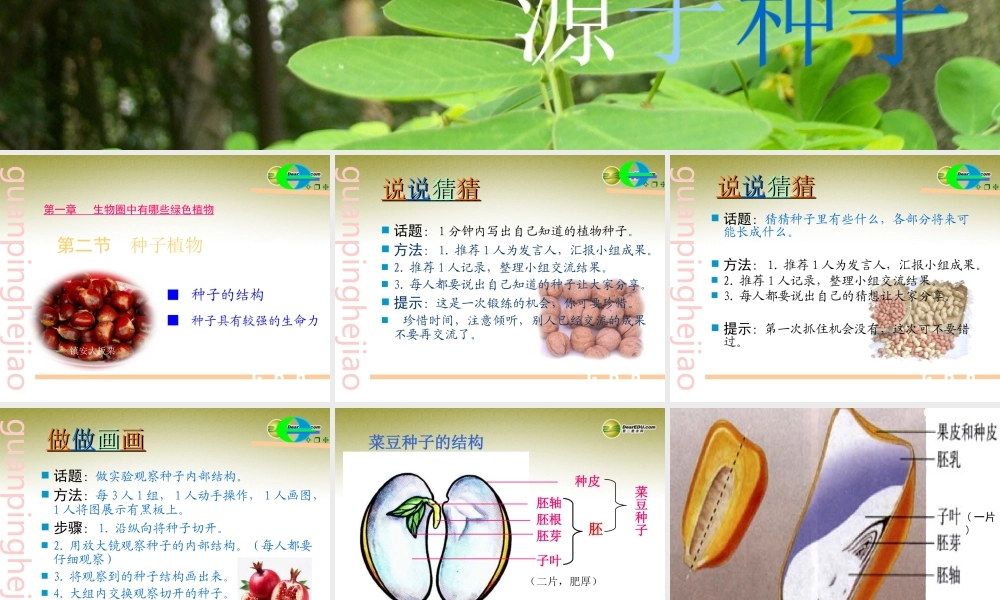 七年级生物上册 第二节 种子植物课件 新人教版 课件