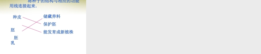 七年级生物上册 第二节 种子植物课件 新人教版 课件