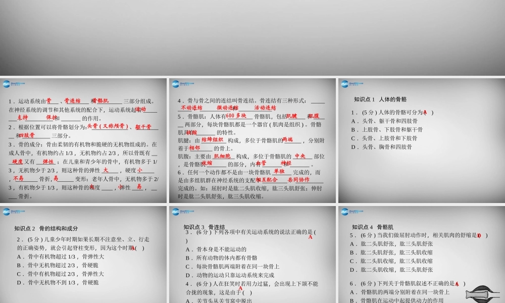 九年级科学下册 35 人的运动系统和保健习题课件 浙教版 课件