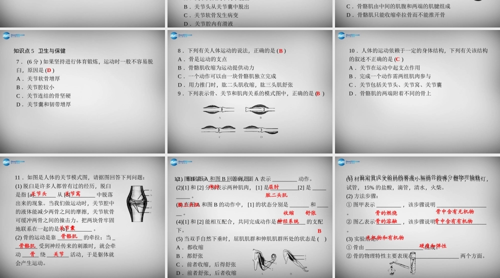 九年级科学下册 35 人的运动系统和保健习题课件 浙教版 课件