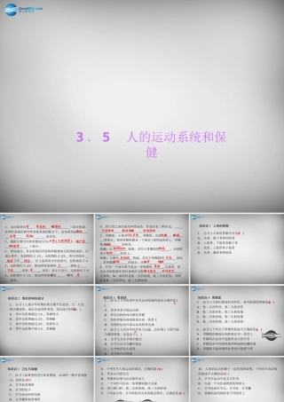 九年级科学下册 35 人的运动系统和保健习题课件 浙教版 课件