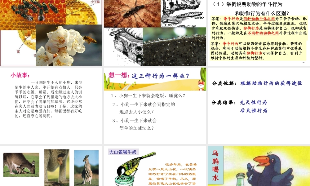 八年级生物(动物的行为)课件  苏教版 课件