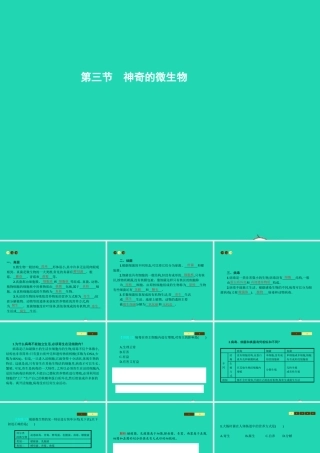 八年级生物上册 14.3 神奇的微生物课件 (新版)苏教版 课件