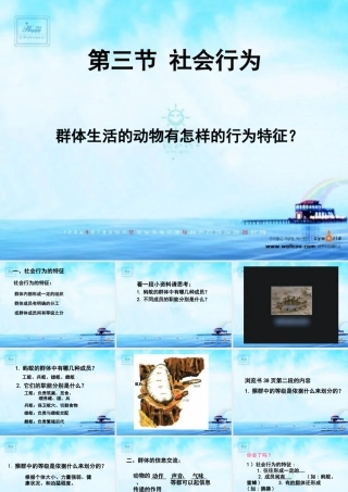 八年级生物 第三节 社会行为课件2 八年级生物 第三节 社会行为课件[整理两套] 八年级生物 第三节 社会行为课件[整理两套]