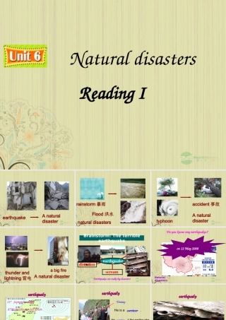 八年级英语上册(Unit 6 Natural Disasters)Reading课件 牛津译林版 课件
