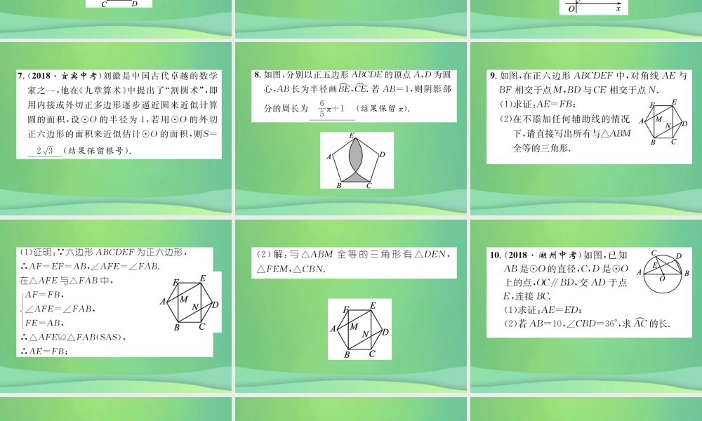 中考数学复习 第7章 圆 第26课时 正多边形与圆的有关计算(精练)课件