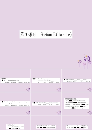九年级英语全册 Unit 7 Teenagers should be allowed to choose their own clothes(第3课时)作业课件 (新版)人教新目标版 课件