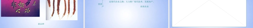 八年级地理上册 4.2 农业的发展课件 商务星球版 课件