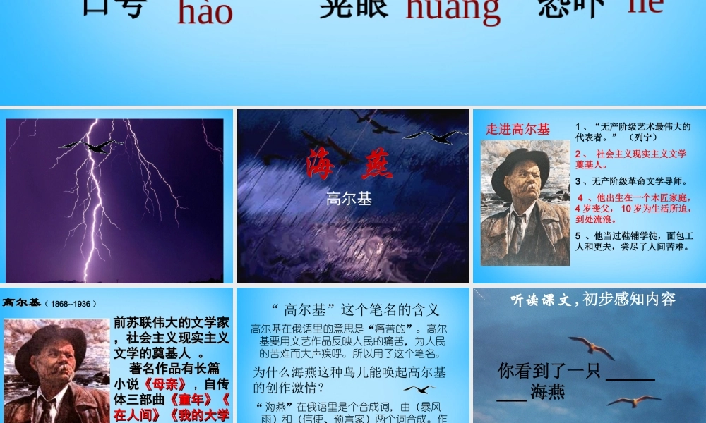 初级八年级语文下册 9 海燕课件 (新版)新人教版 课件