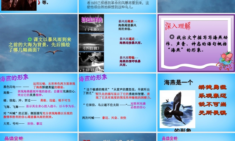 初级八年级语文下册 9 海燕课件 (新版)新人教版 课件
