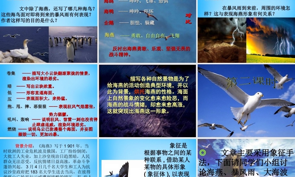 初级八年级语文下册 9 海燕课件 (新版)新人教版 课件