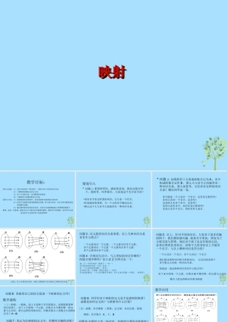 山西省忻州市高考数学 专题 映射复习课件